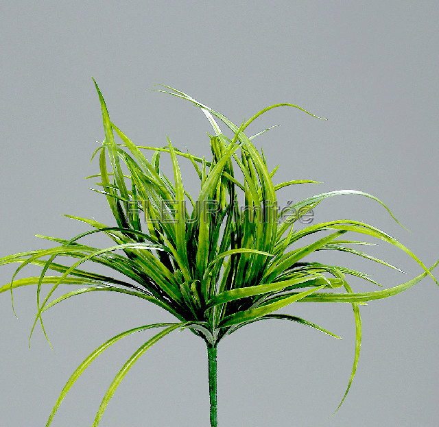 Tráva trs 33cm   24/144