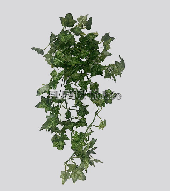 Břečťan pop.46cm   12/144