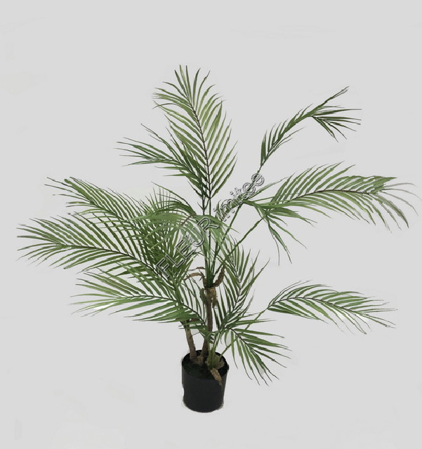 Palma Areca 100cm latex 1/4