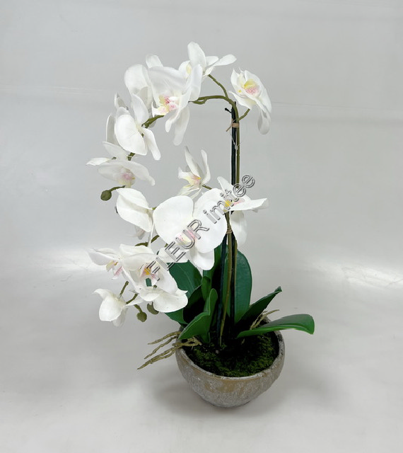 Orchidea x2 latex v květ. 47cm 1/12
