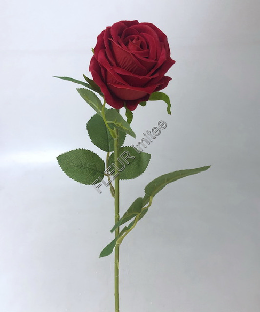 Růže velvet  50cm 24/288