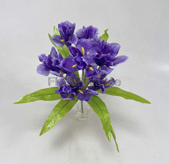 Iris x9  44cm   12/120