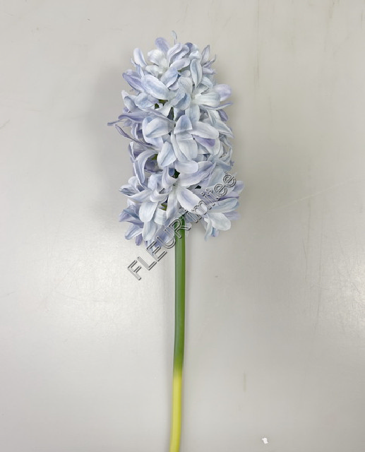 Hyacint x1 40cm 24/240