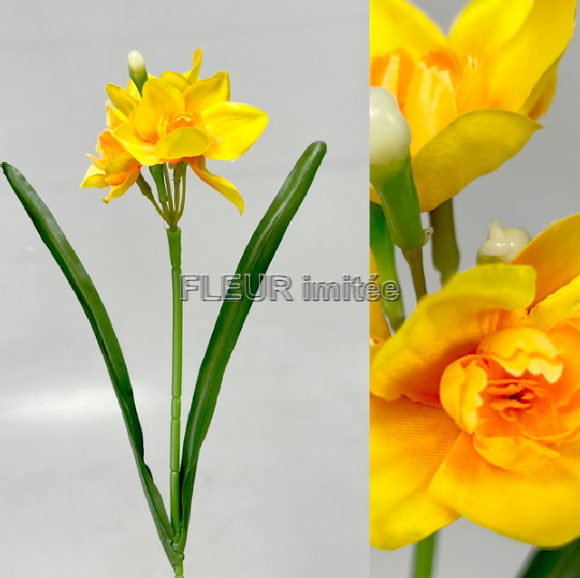 Narcis 3kv. 48cm 144/1152