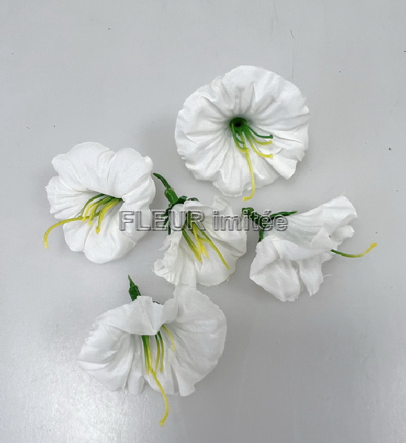 Květ petunie 3cm