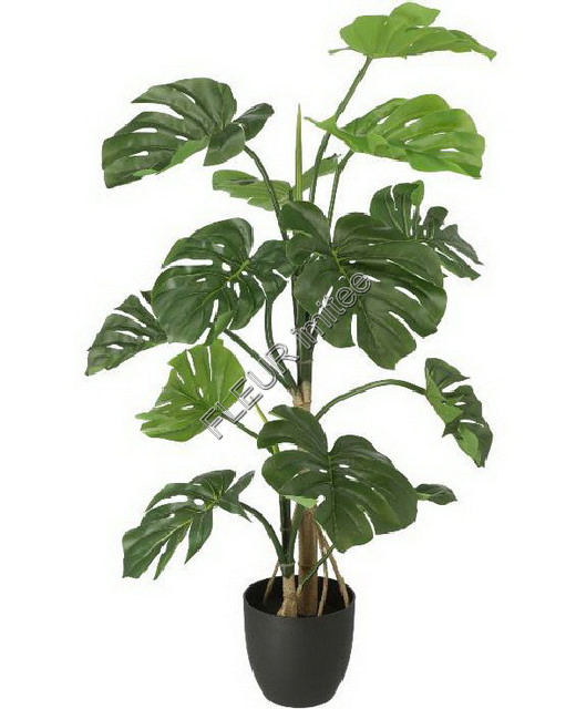 Monstera 120cm latex 1/2