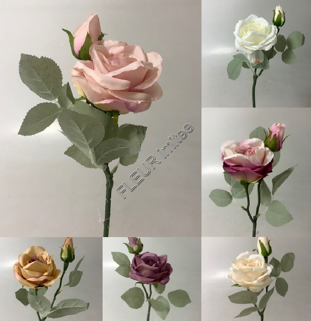 Růže x2 frost list 45cm 24/288