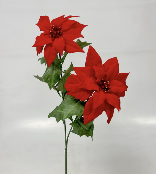 Poinsettia x2 57cm 24/288