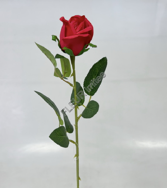 Růže x1 62cm 48/480