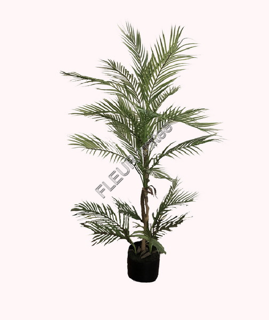 Palma ARECA-1 130cm  latex   1/4