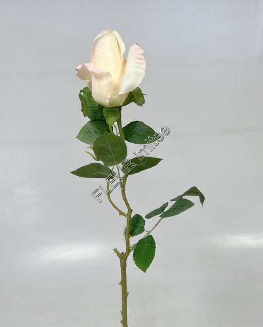 Růže x1 67cm 48/576
