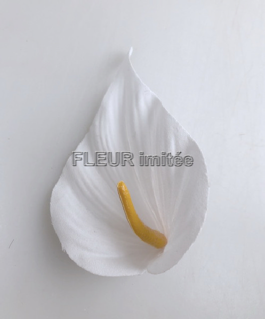 Květ kala 10cm   24/576