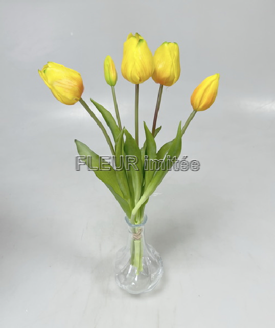 Tulipán x5 latex 12/96