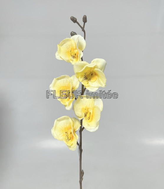 Orchidea 5kv. 40cm 6/864