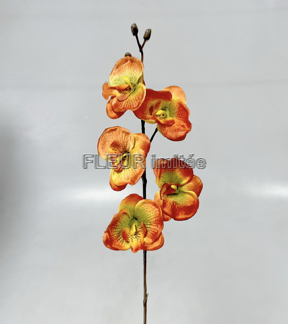 Orchidea 5kv. 40cm 6/864