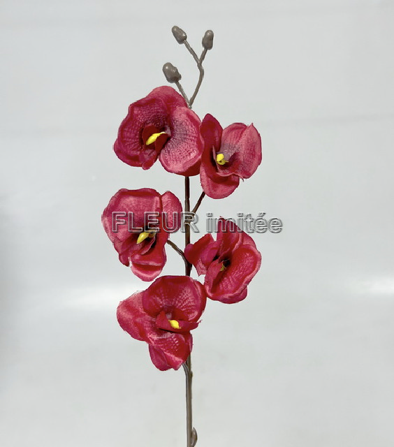 Orchidea 5kv. 40cm 6/864