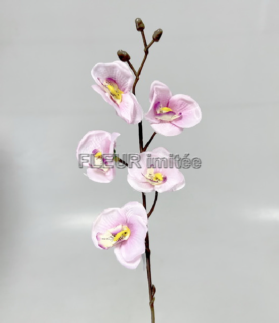 Orchidea 5kv. 40cm 6/864