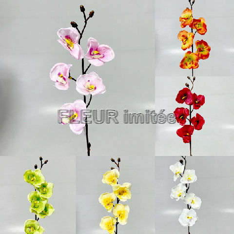 Orchidea 5kv. 40cm 6/864