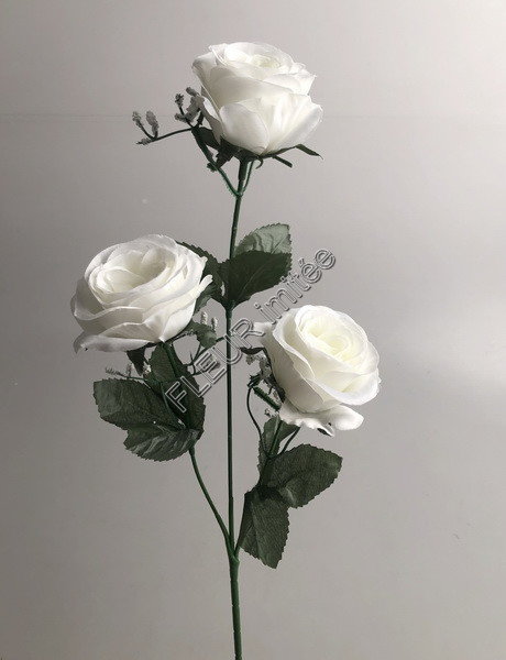 Růže x3 55cm