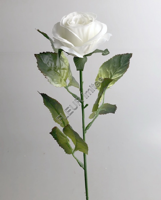 Růže x1 52cm