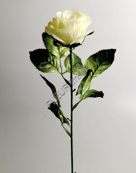 Růže x1 52cm