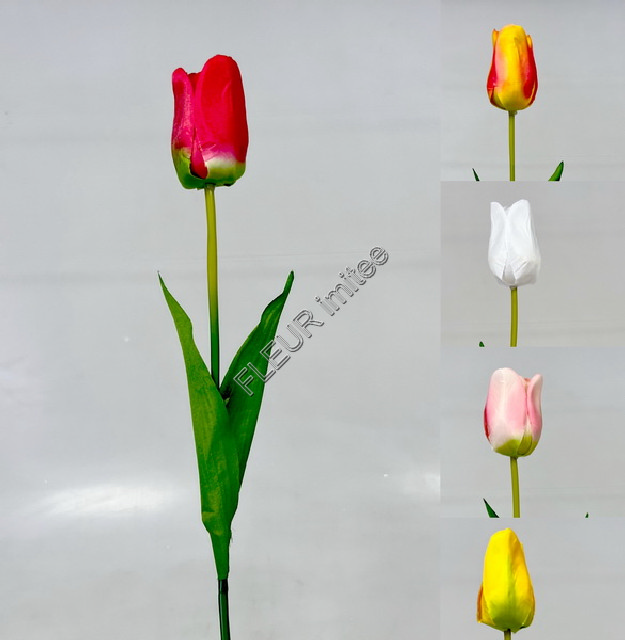Tulipán x1 63cm 48/480