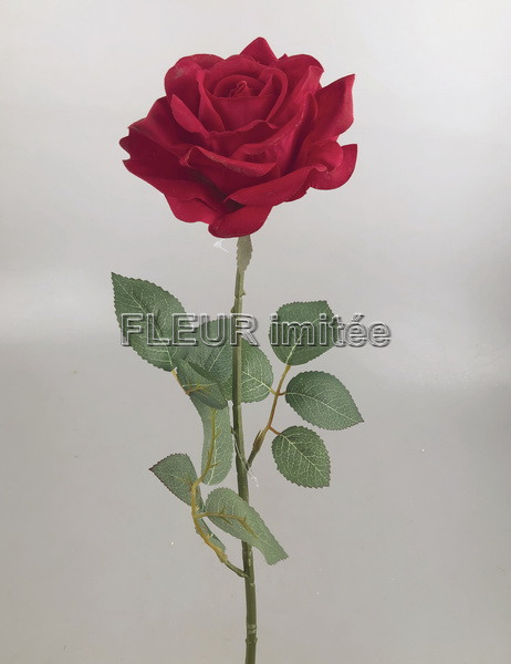 Růže x1 touch 68cm 24/144