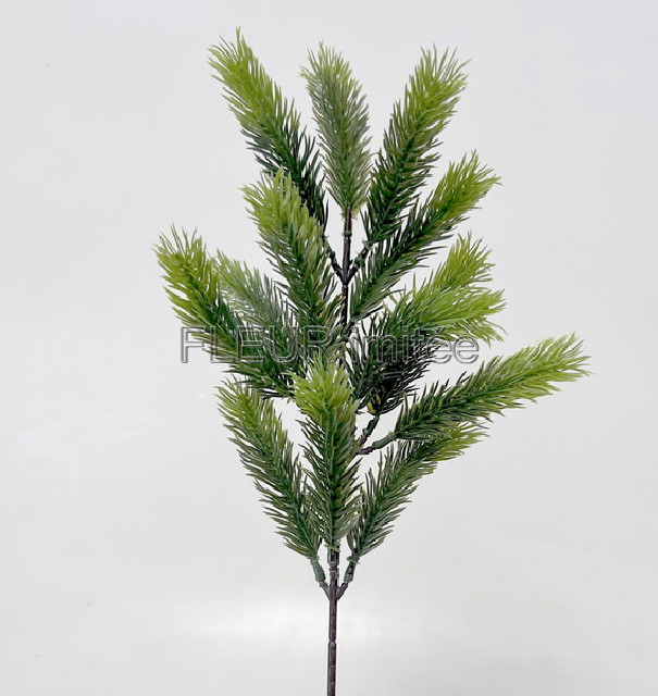 Chvojí x12 55 cm 12/480