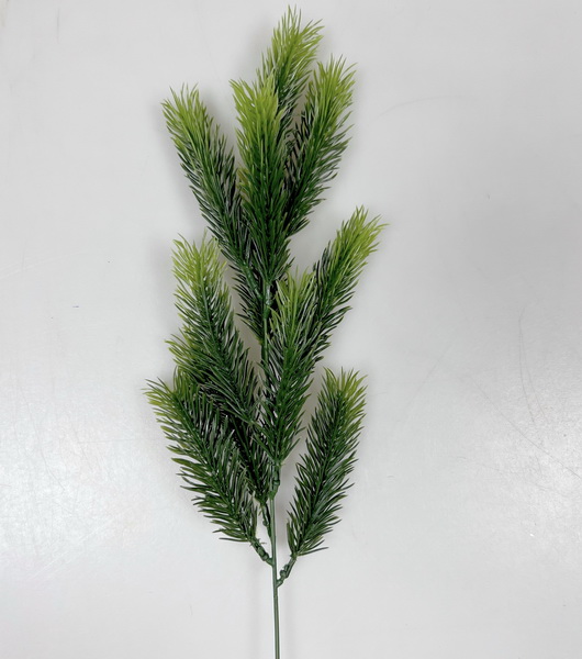 Chvojí x10 56cm 12/480