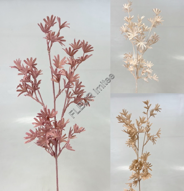 Rhapis ván. 69cm 12/144