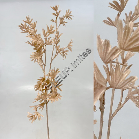 Rhapis ván. 69cm 12/144