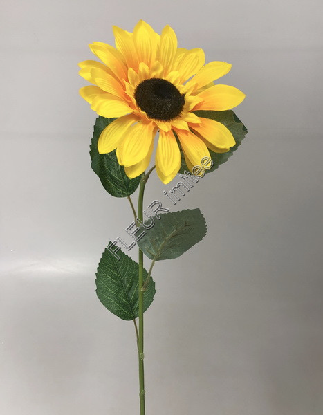 Slunečnice 15/66cm 24/240