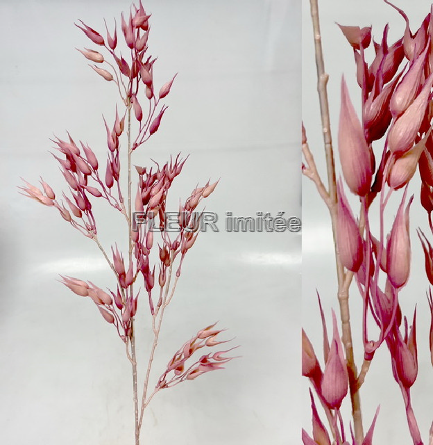 Oves 88cm 1/144