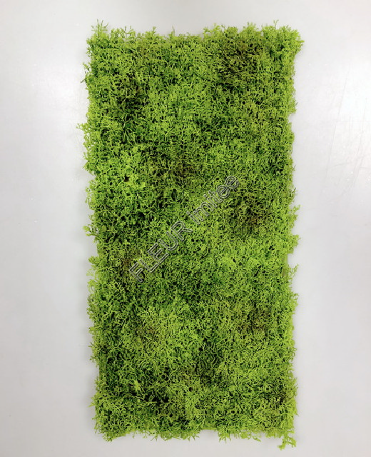 Mech 25x50cm   1/24