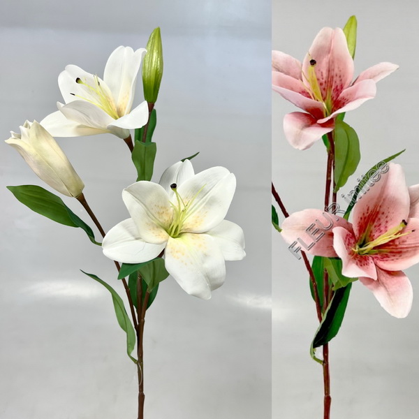 Lilie x3 80cm 12/72