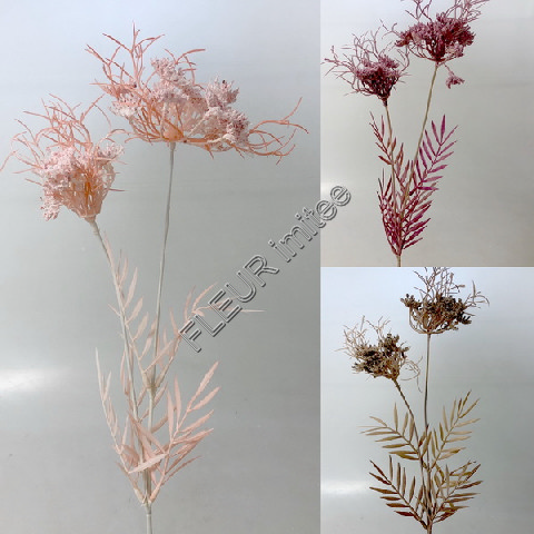 Kopr 70cm  12/288