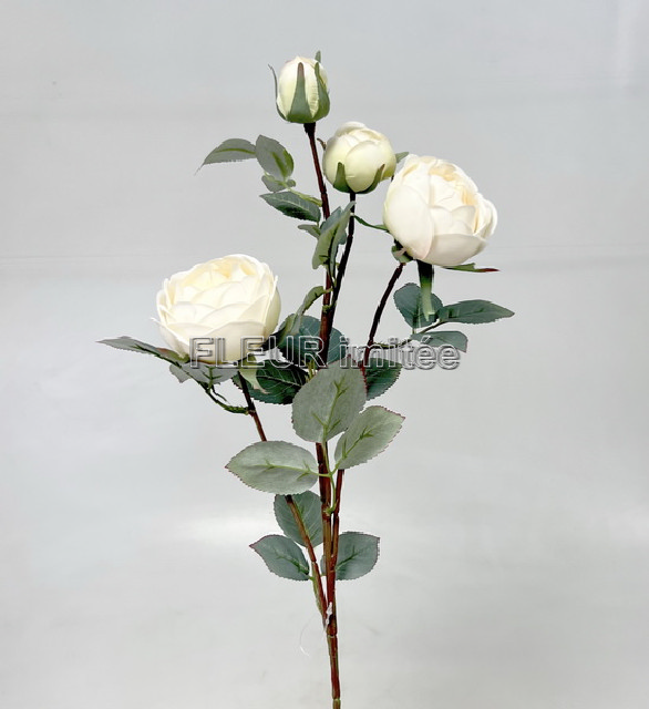 Růže x4 velvet  70cm 12/120