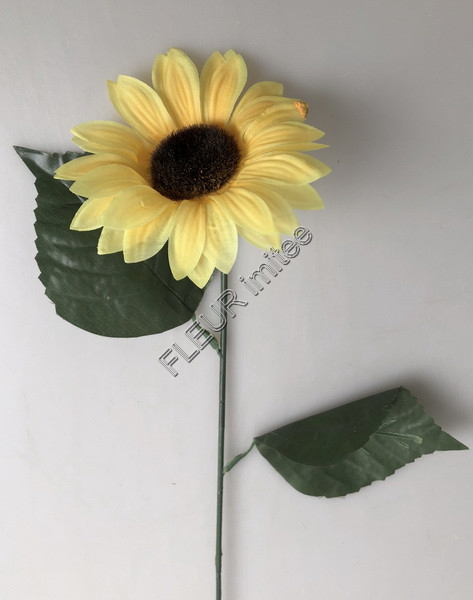 Slunečnice x1 55cm 12/96