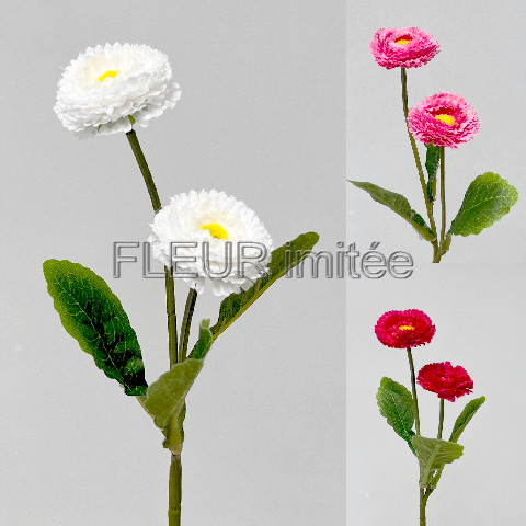 Sedmikráska x2 22cm 120/1200