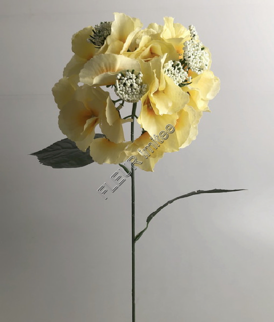 Hortenzie x1 80cm 3b. 12/144