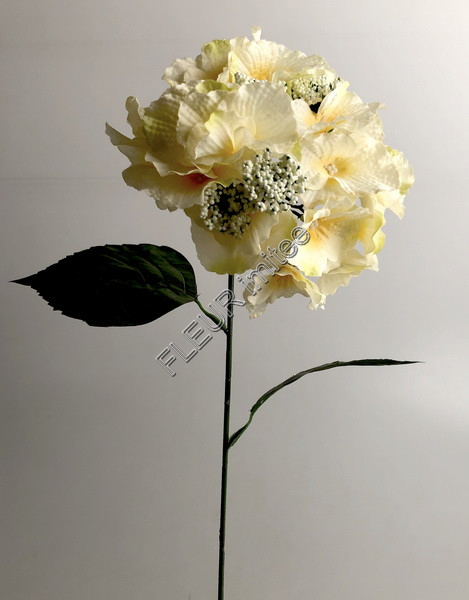 Hortenzie x1 80cm 3b. 12/144