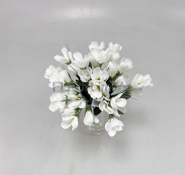 Crocus x7  30cm 36/216