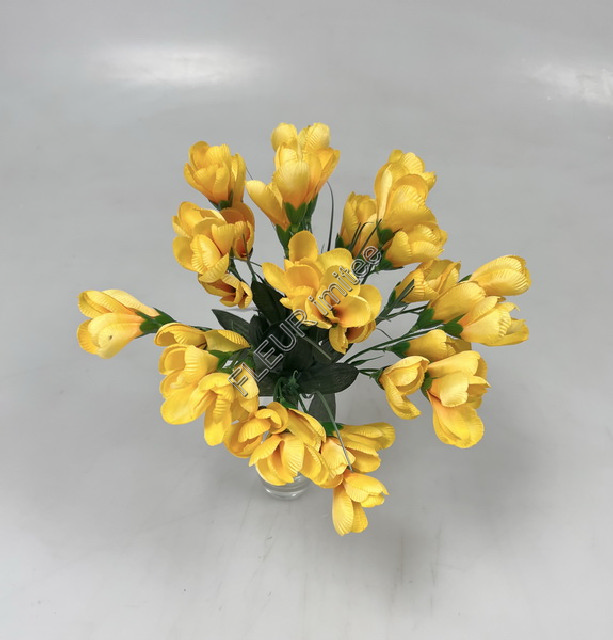 Crocus x7  30cm 36/216