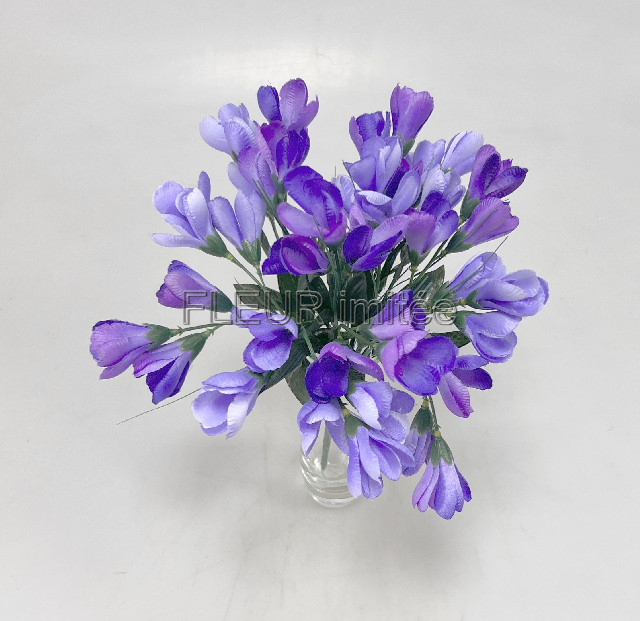 Crocus x7  30cm 36/216