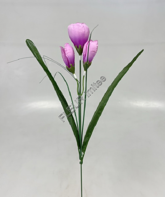 Crocus 46cm 3kv.96/1152