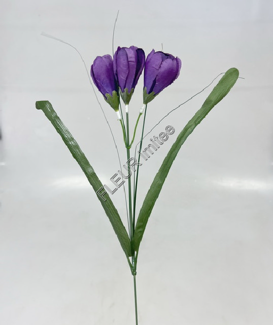 Crocus 46cm 3kv.96/1152