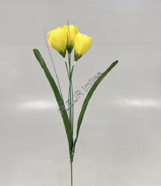 Crocus 46cm 3kv.96/1152