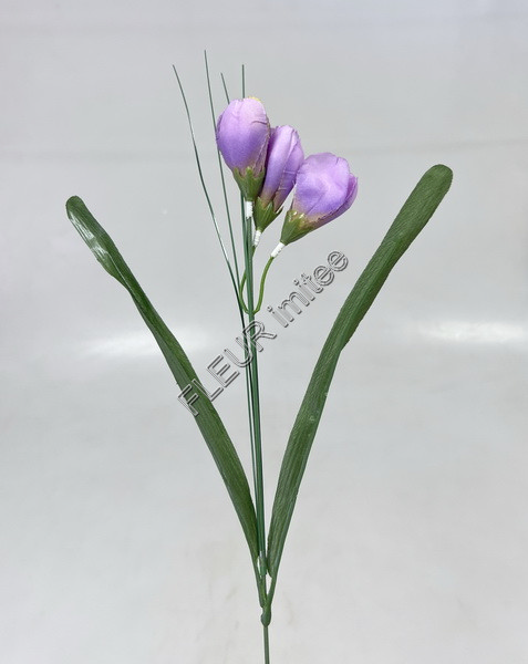 Crocus 46cm 3kv.96/1152