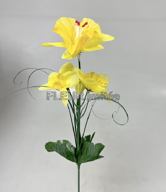 Narcis x3kv. 40cm 72/1440
