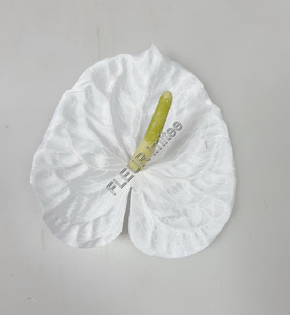 Květ anturie 13cm  24/240